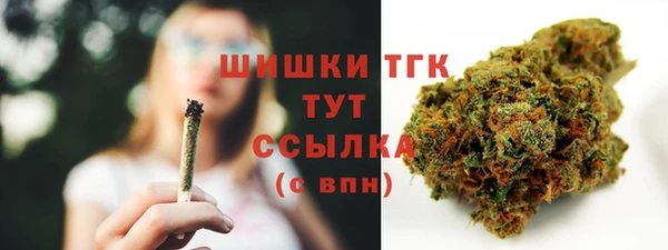 прущие грибы Арсеньев