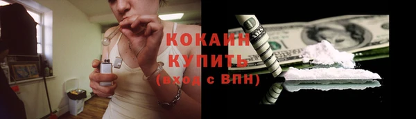 прущие грибы Арсеньев