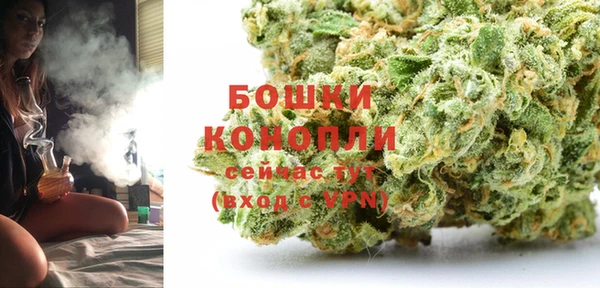 прущие грибы Арсеньев
