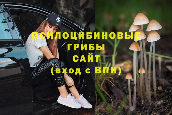 стаф Армянск