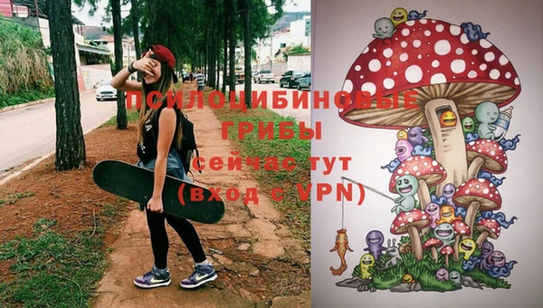 стаф Армянск