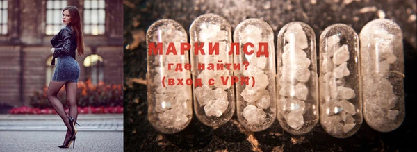 прущие грибы Арсеньев