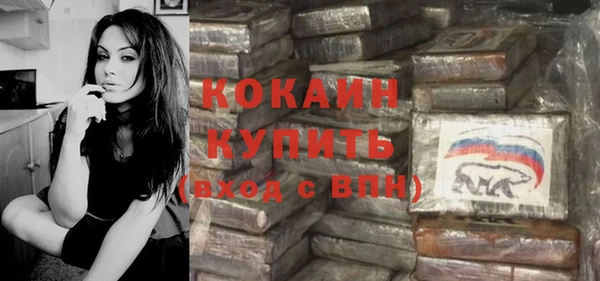 прущие грибы Арсеньев