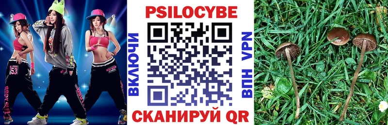 где купить наркоту  Волгоград  Галлюциногенные грибы мицелий 
