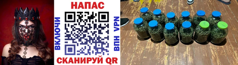 Каннабис SATIVA & INDICA  hydra как зайти  Волгоград  купить  